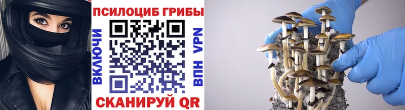 Галлюциногенные грибы ЛСД  Купить  Перевоз 